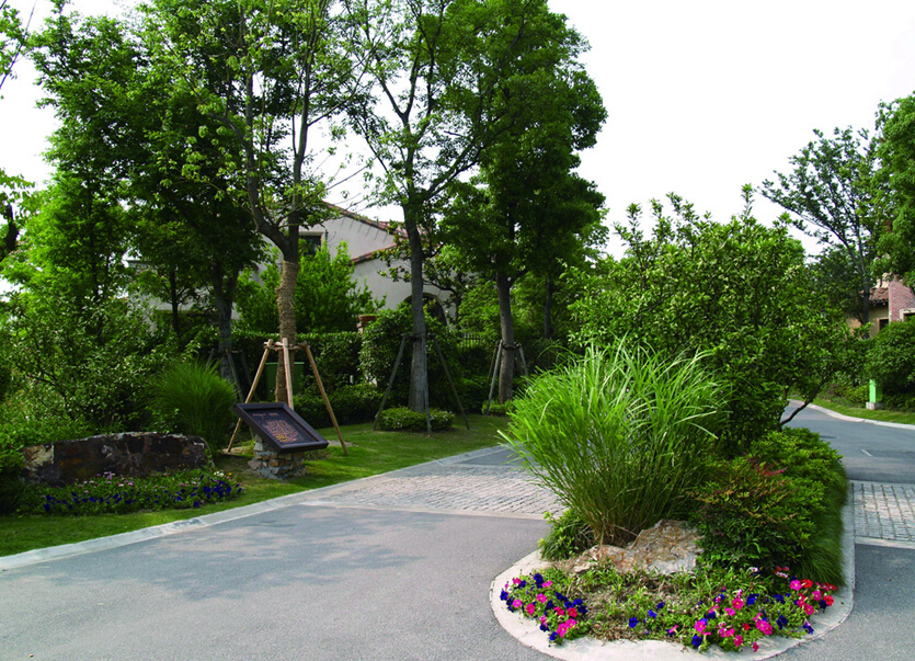 上海別墅綠化景觀、別墅綠化設計、花園別墅設計