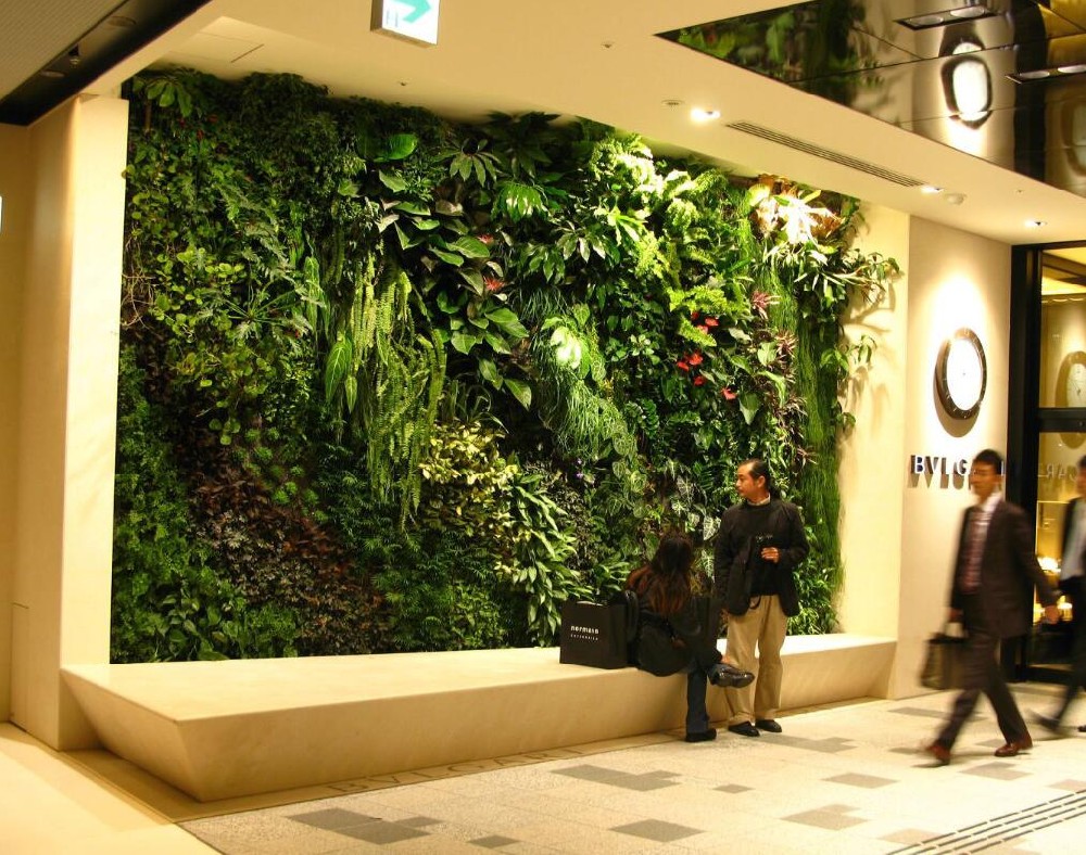上海墻面綠化、上海墻面綠化公司